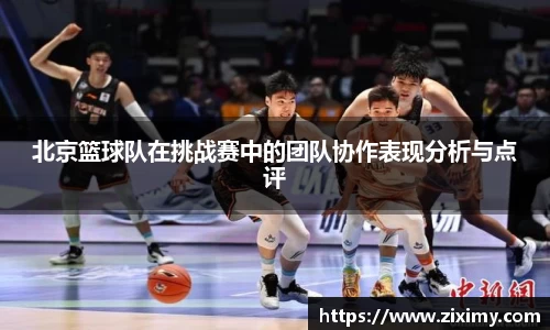 北京篮球队在挑战赛中的团队协作表现分析与点评