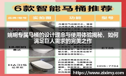 姚明专属马桶的设计理念与使用体验揭秘，如何满足巨人需求的完美之作