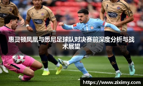 惠灵顿凤凰与悉尼足球队对决赛前深度分析与战术展望